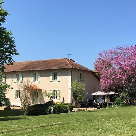 Domaine Serrot Saint-Elix-Theux ภายนอก รูปภาพ